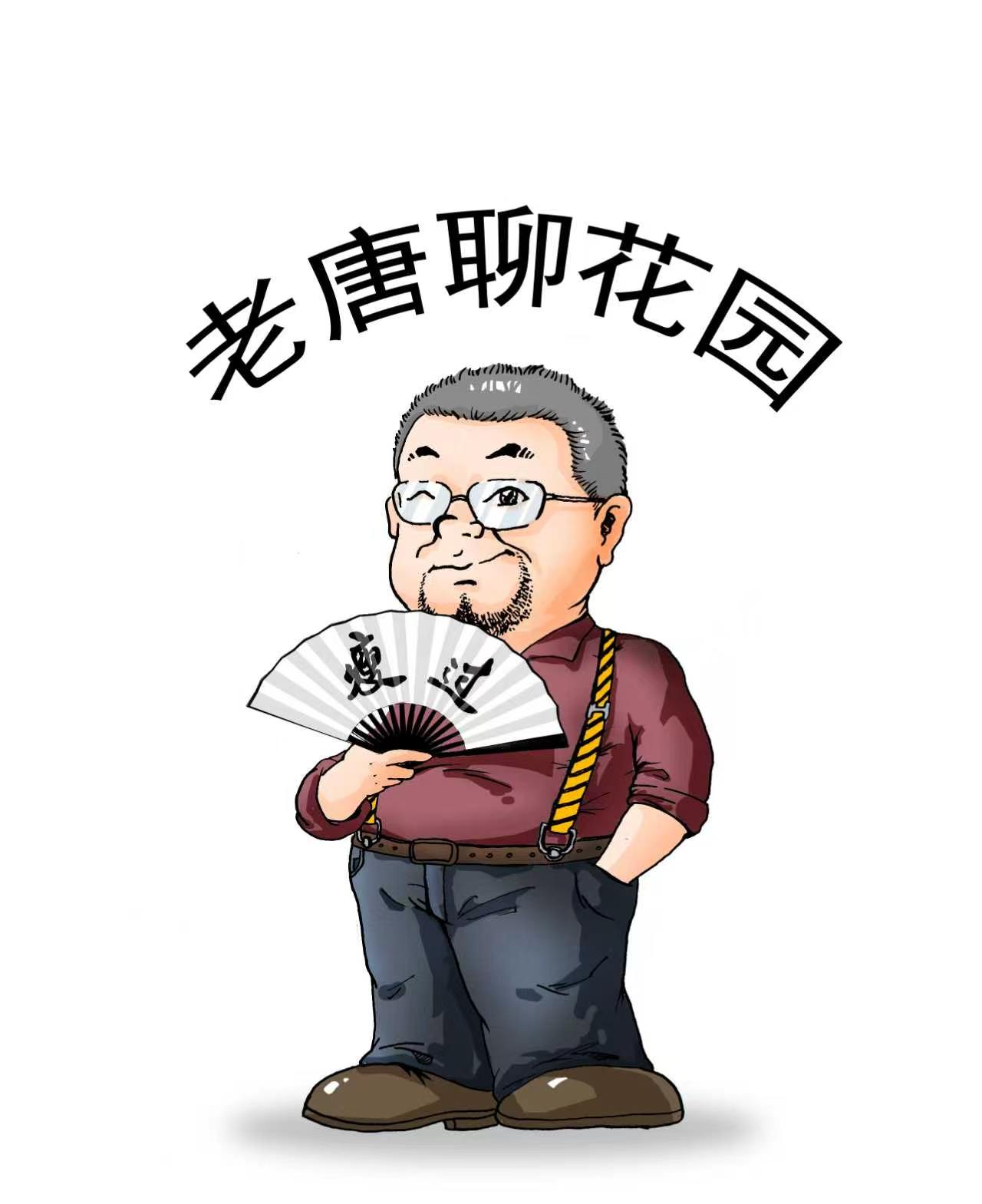 老唐聊花园